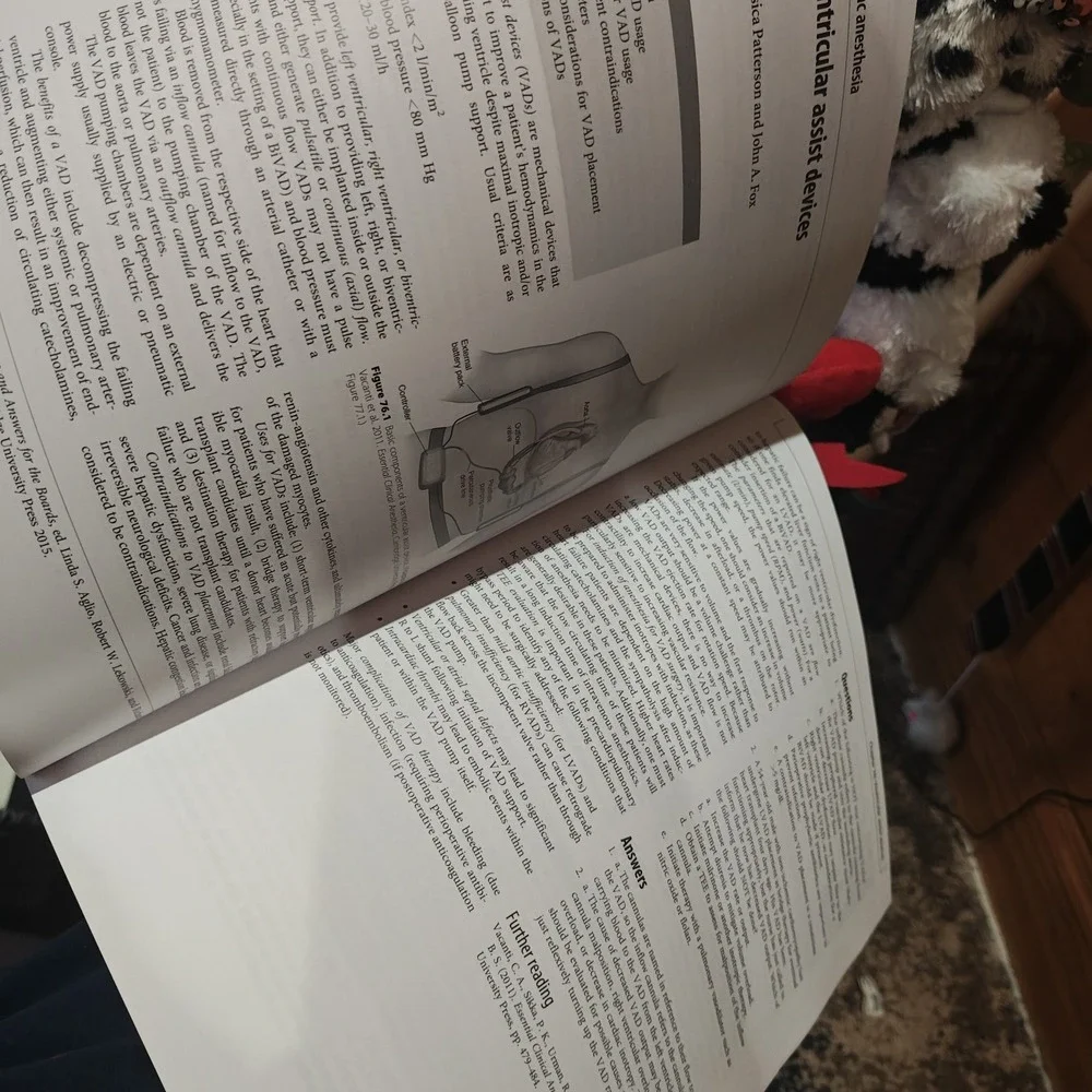 Essential Clinical Anesthesia Review by Aglio,Linda S. Paperback